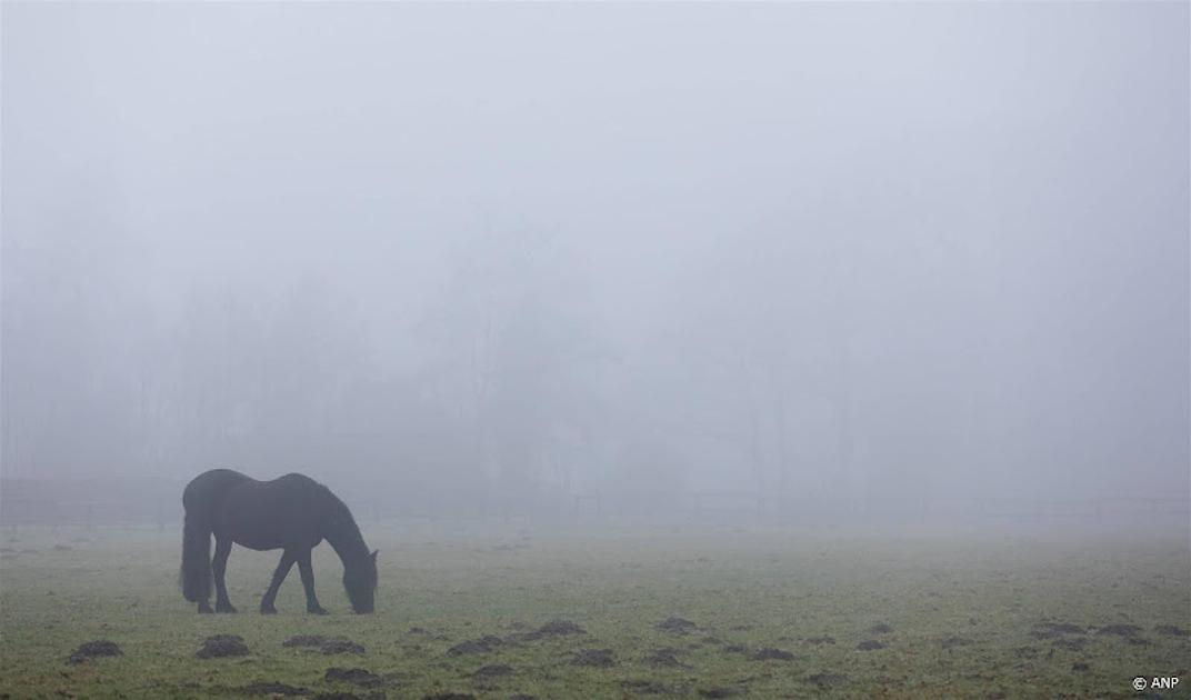 In heel Nederland code geel vanwege mist