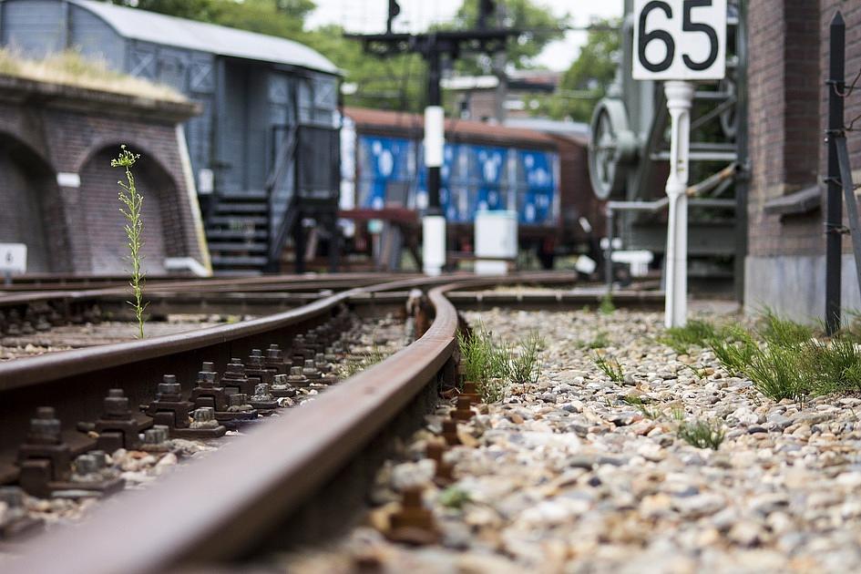 Bij de verkeersleidingsposten van ProRail in Groningen, Zwolle en Arnhem wordt er vrijdagochtend getaakt. Reizigers moeten de hele ochtend rekening houden met uitval van treinen en vertragingen. NS geeft het advies om kort voor vertrek het actuele reisadvies te bekijken.   Medewerkers van ProRail hebben al meerdere keren gestaakt. Het treinverkeer in verschillende delen van Nederland raakte daardoor verstoort. Vakbond FNV eist een loonsverhoging, maar ProRail gaat daar niet in mee. 