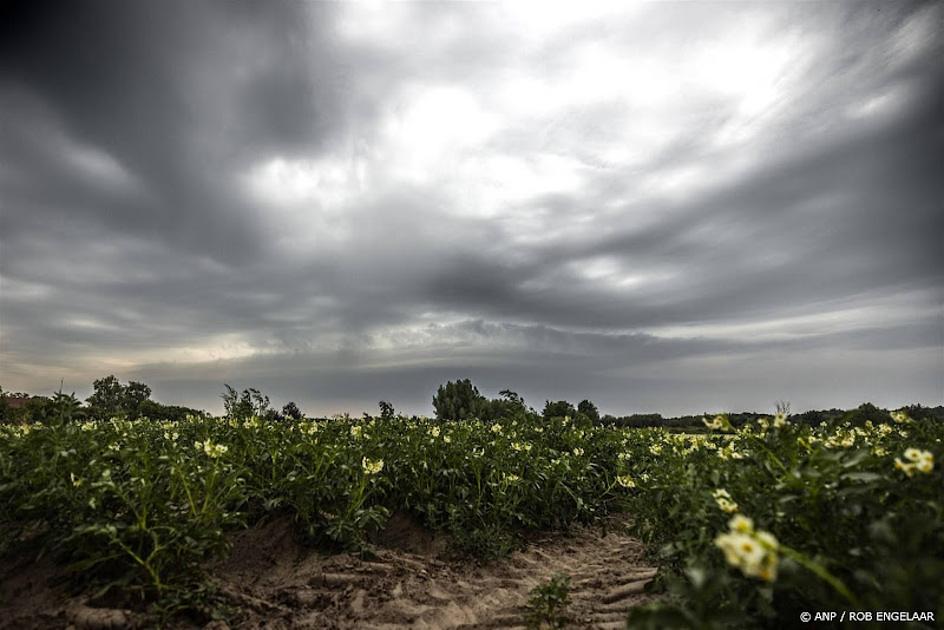 Dinsdagavond kans op overlast door zware onweersbuien