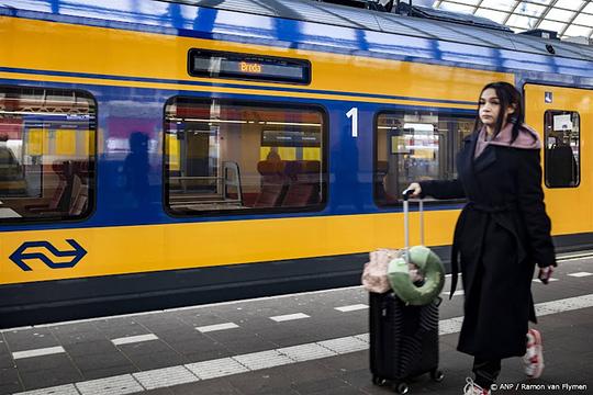 Reizigersvereniging Rover wil geen oerwoud aan paaltjes op stations