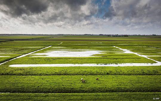 Code geel voor Limburg en Noord-Brabant