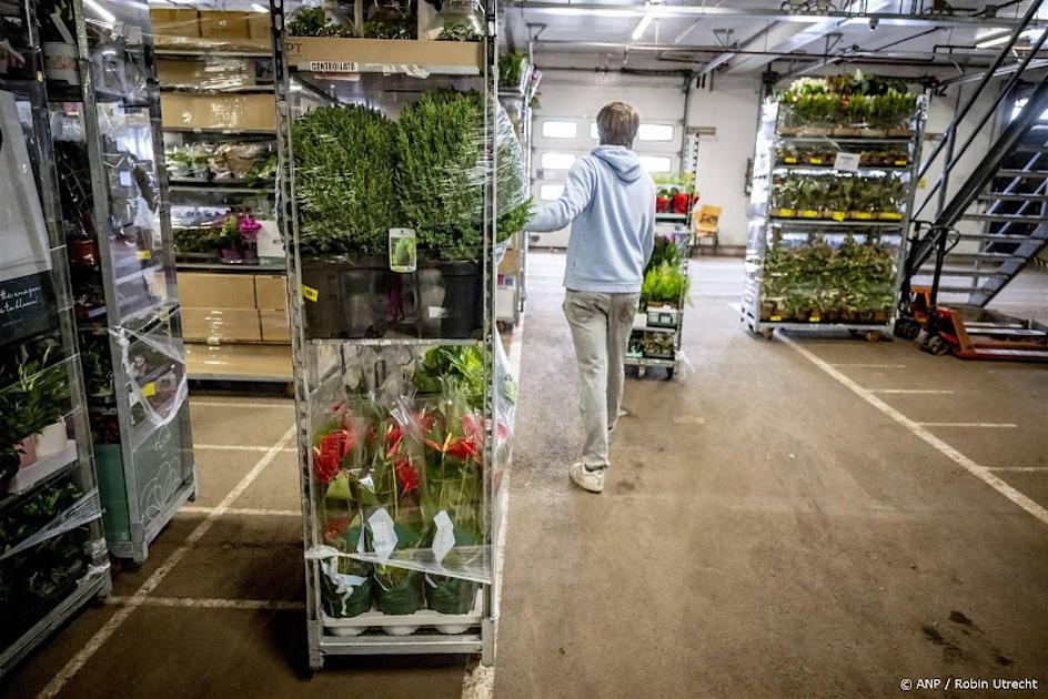 Meer Nederlandse bloemenexport naar Oost-Europa